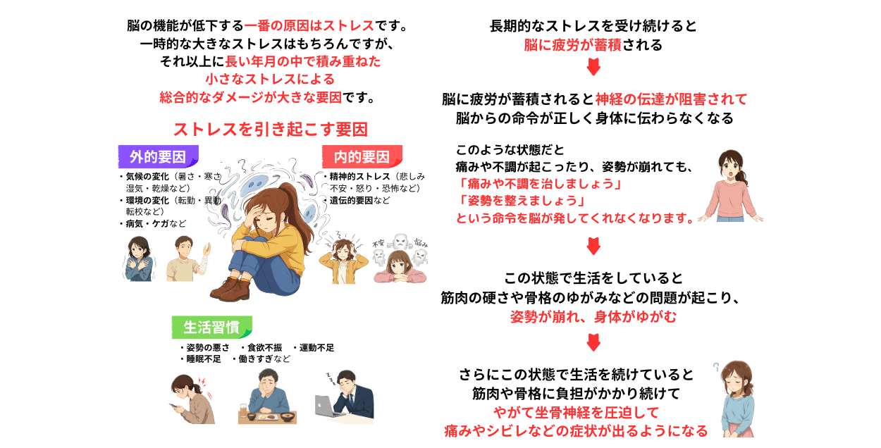 ストレスが脳の機能低下の原因　ストレスが身体に与える影響